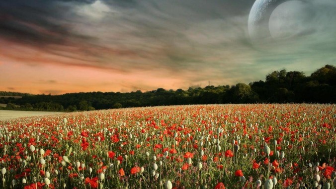 DLM(扩散语言模型)会成为2025年的Mamba吗?